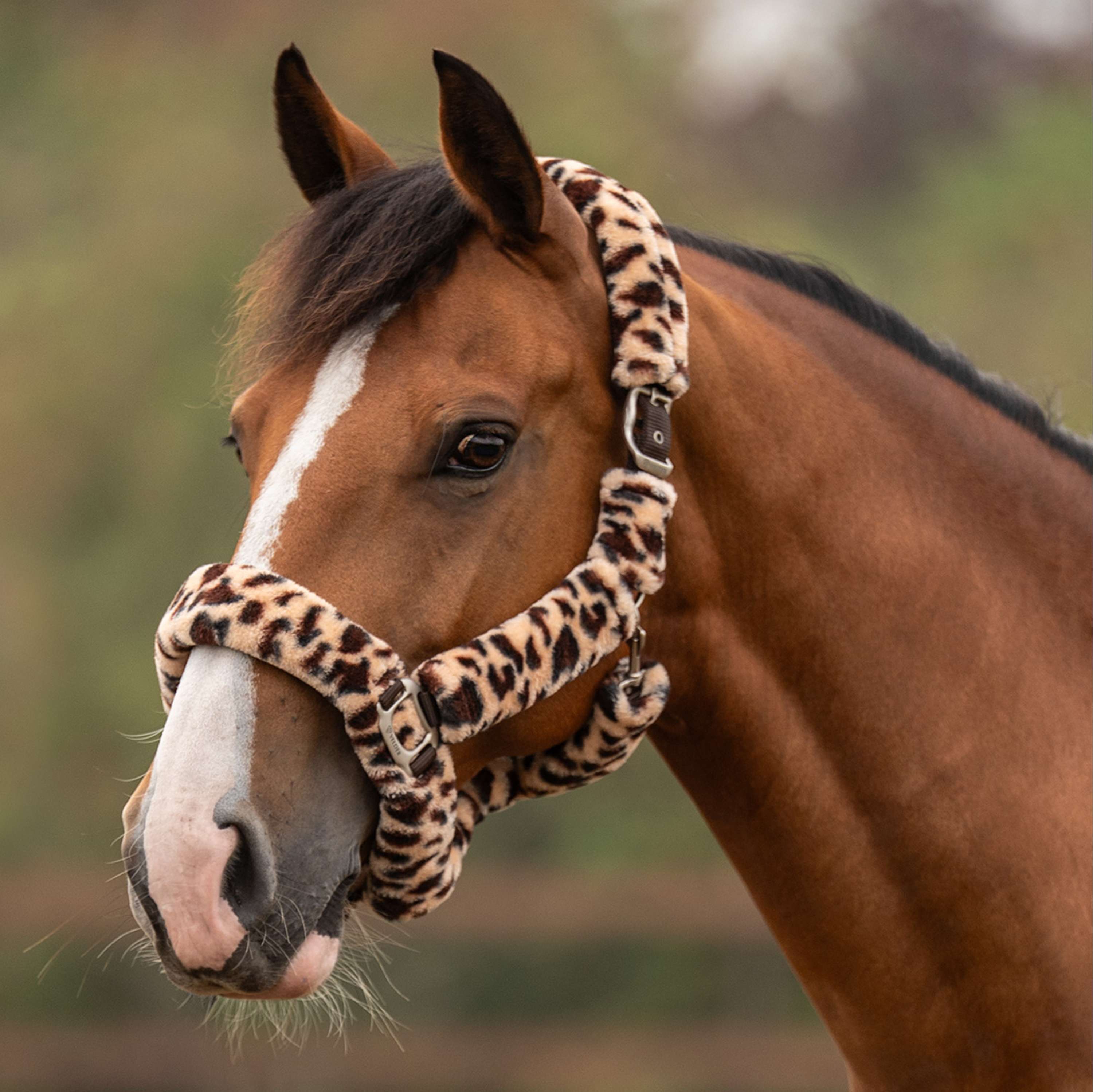 Velder Horsewear Premium Capezzina Comfort Fur Snow Leopard Marrone