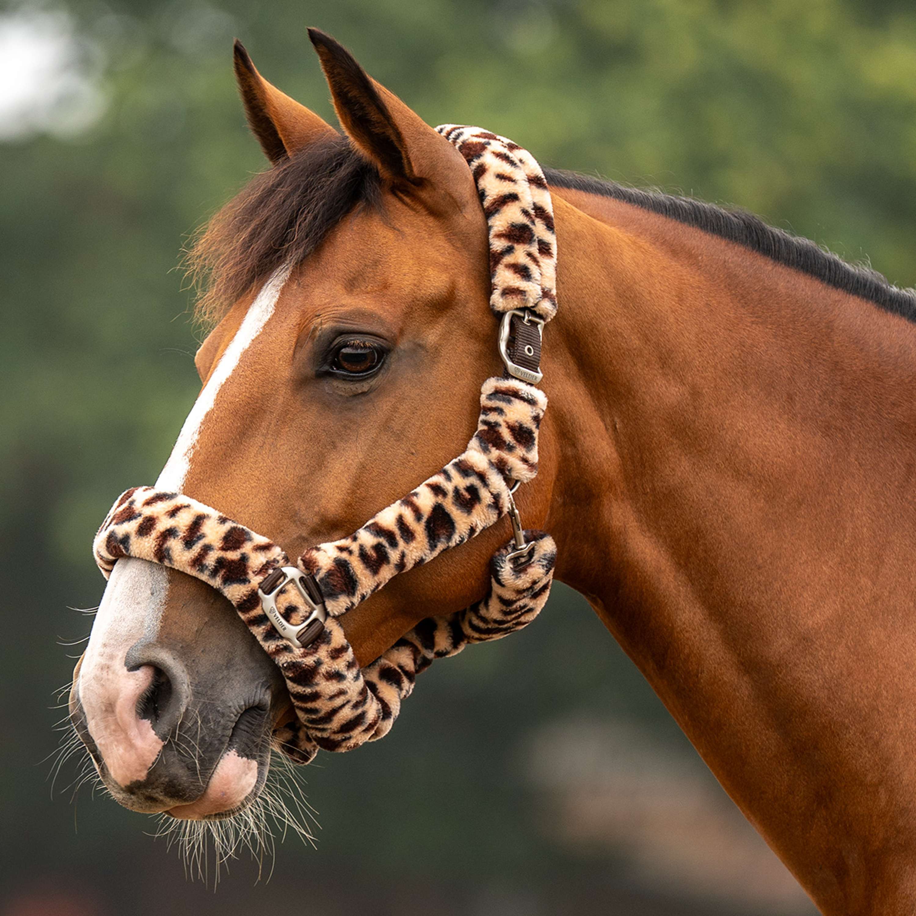 Velder Horsewear Premium Capezzina Comfort Fur Snow Leopard Marrone