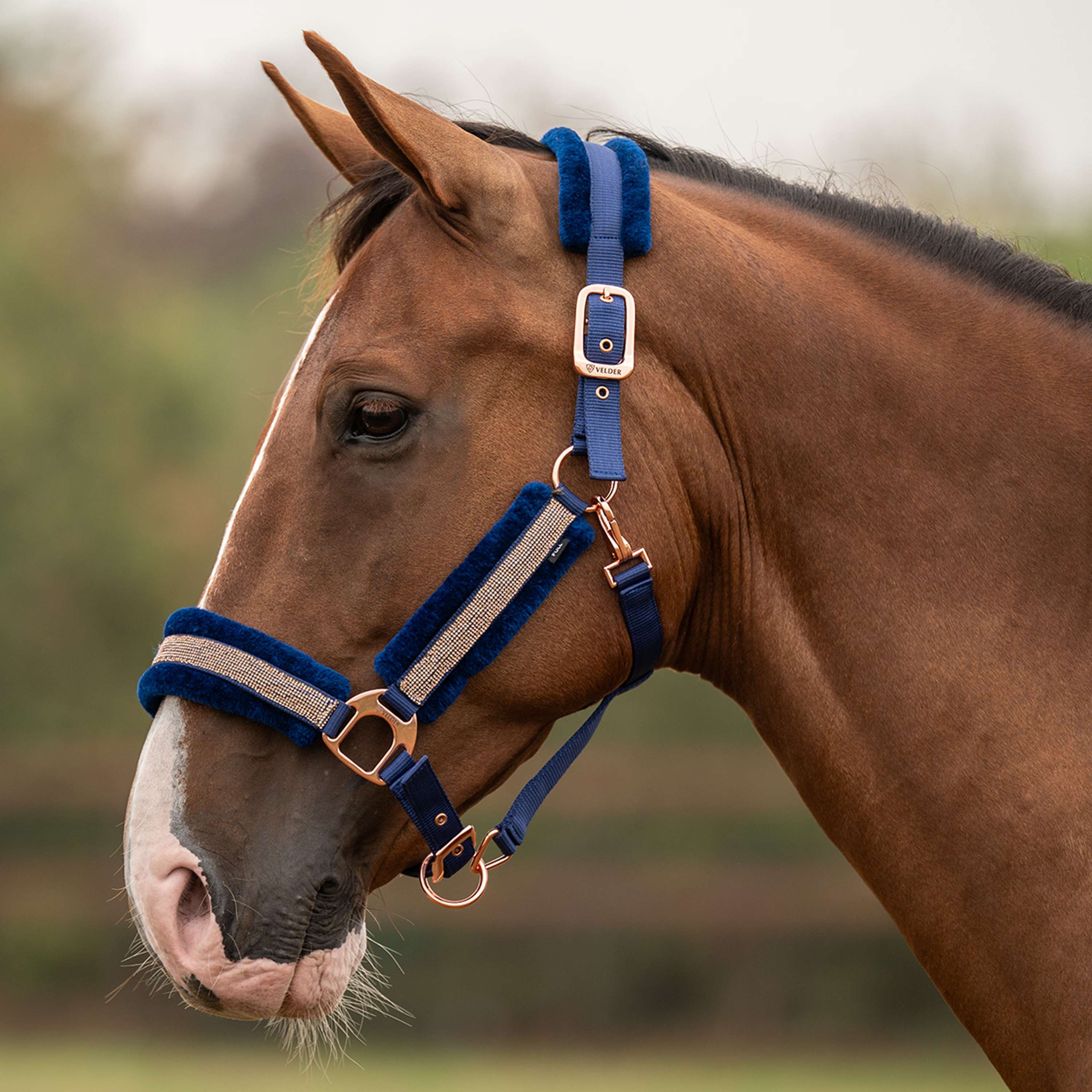 Velder Horsewear Essentials Capezzina Soft Sparkle Navy