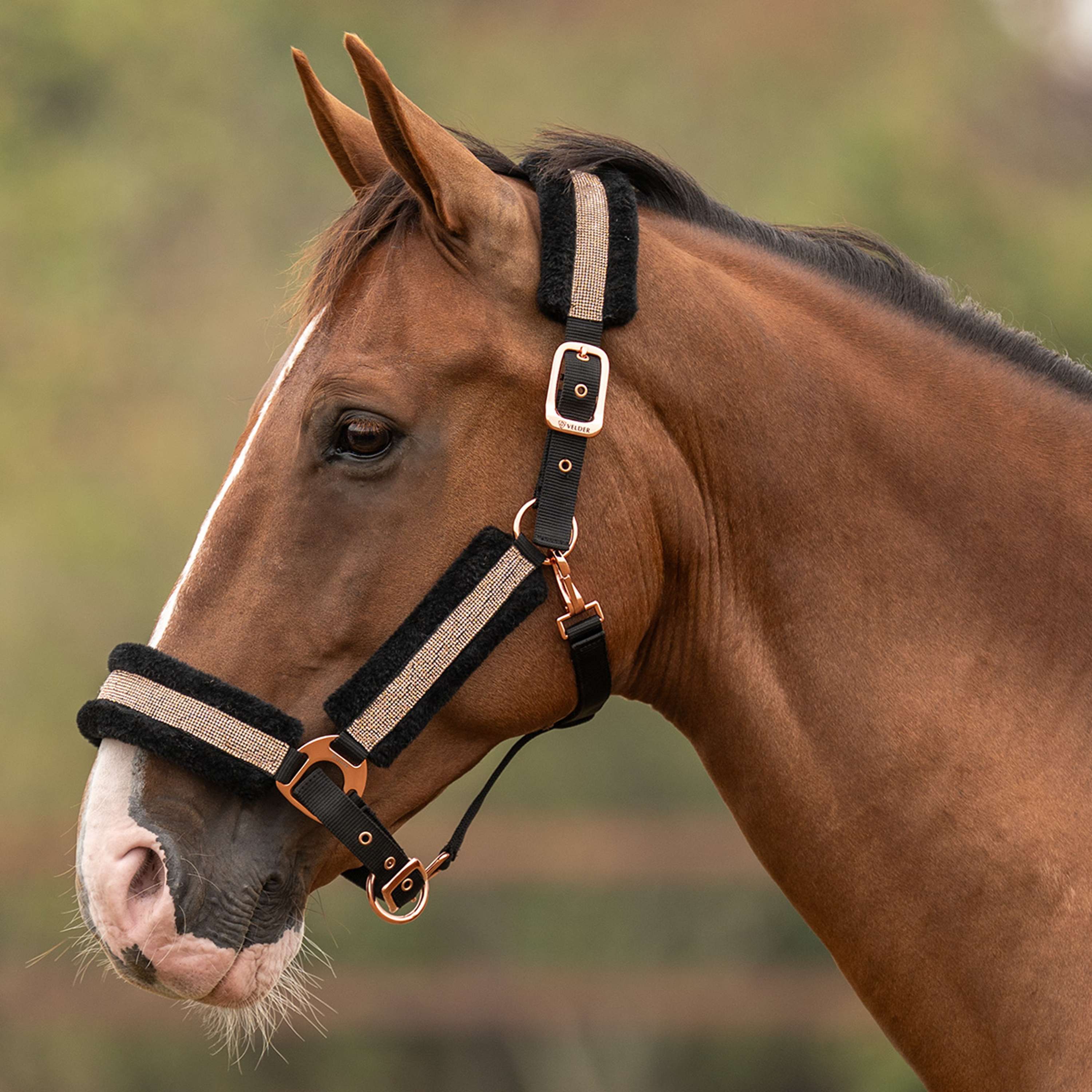 Velder Horsewear Essentials Capezzina Soft Sparkle Nero