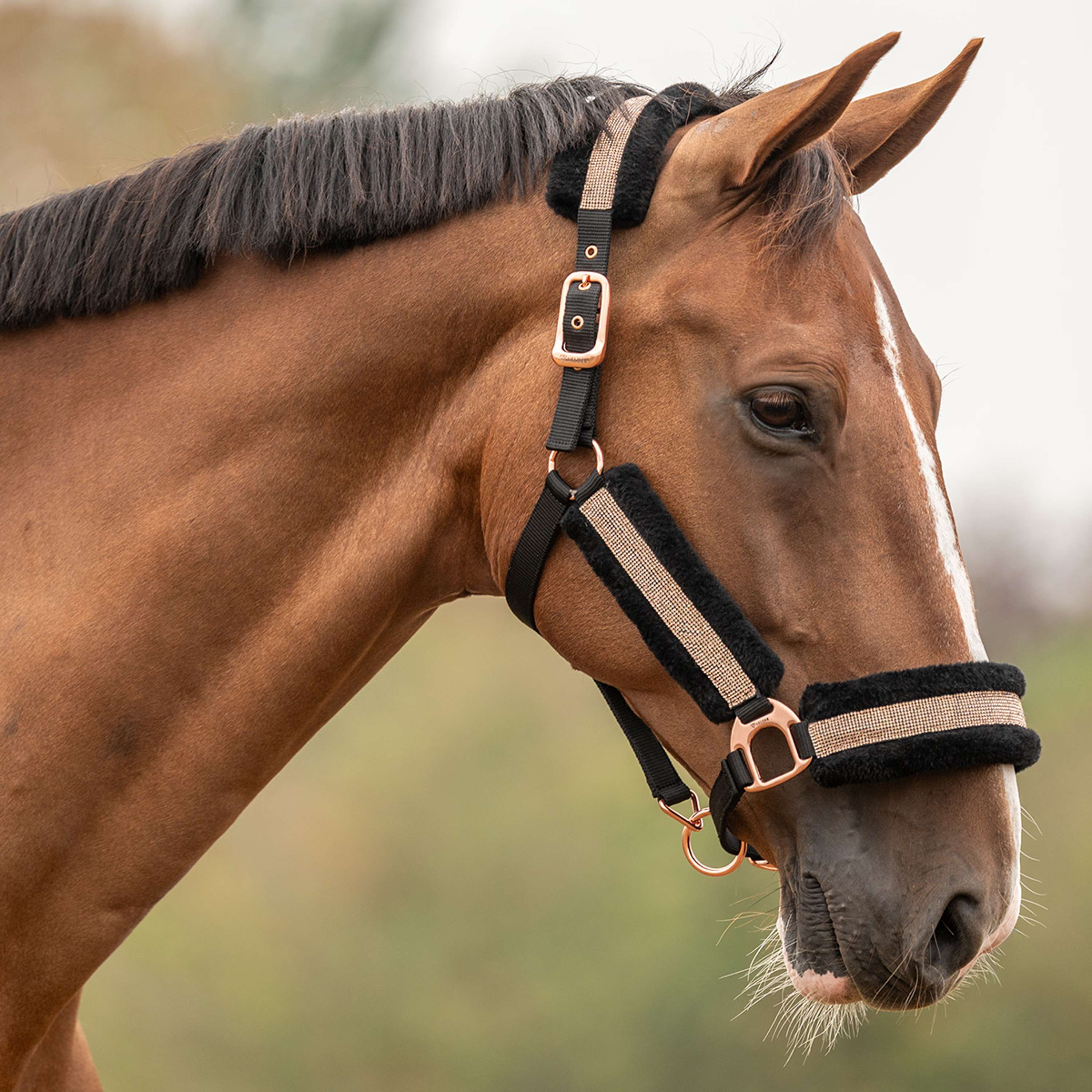 Velder Horsewear Essentials Capezzina Soft Sparkle Nero