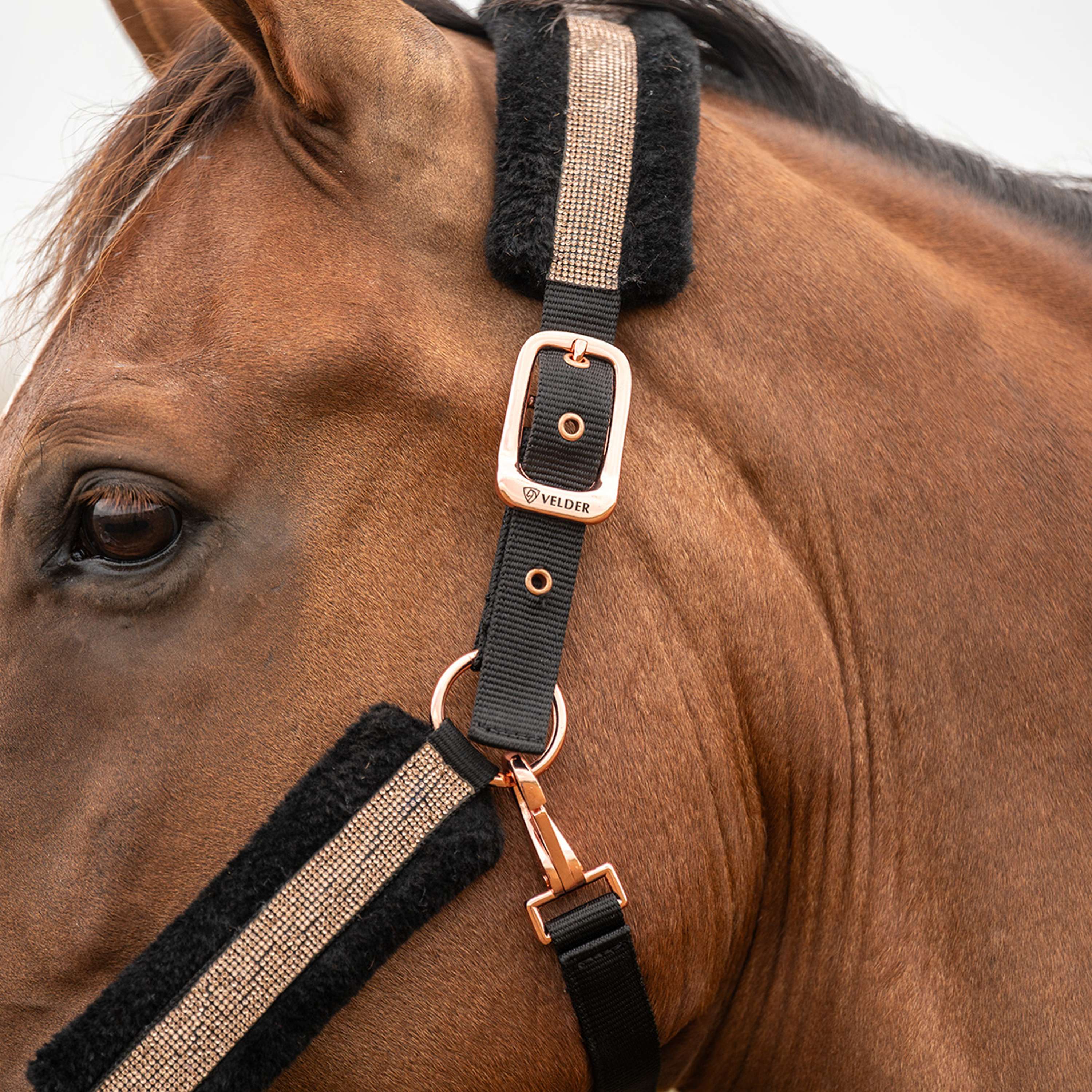 Velder Horsewear Essentials Capezzina Soft Sparkle Nero