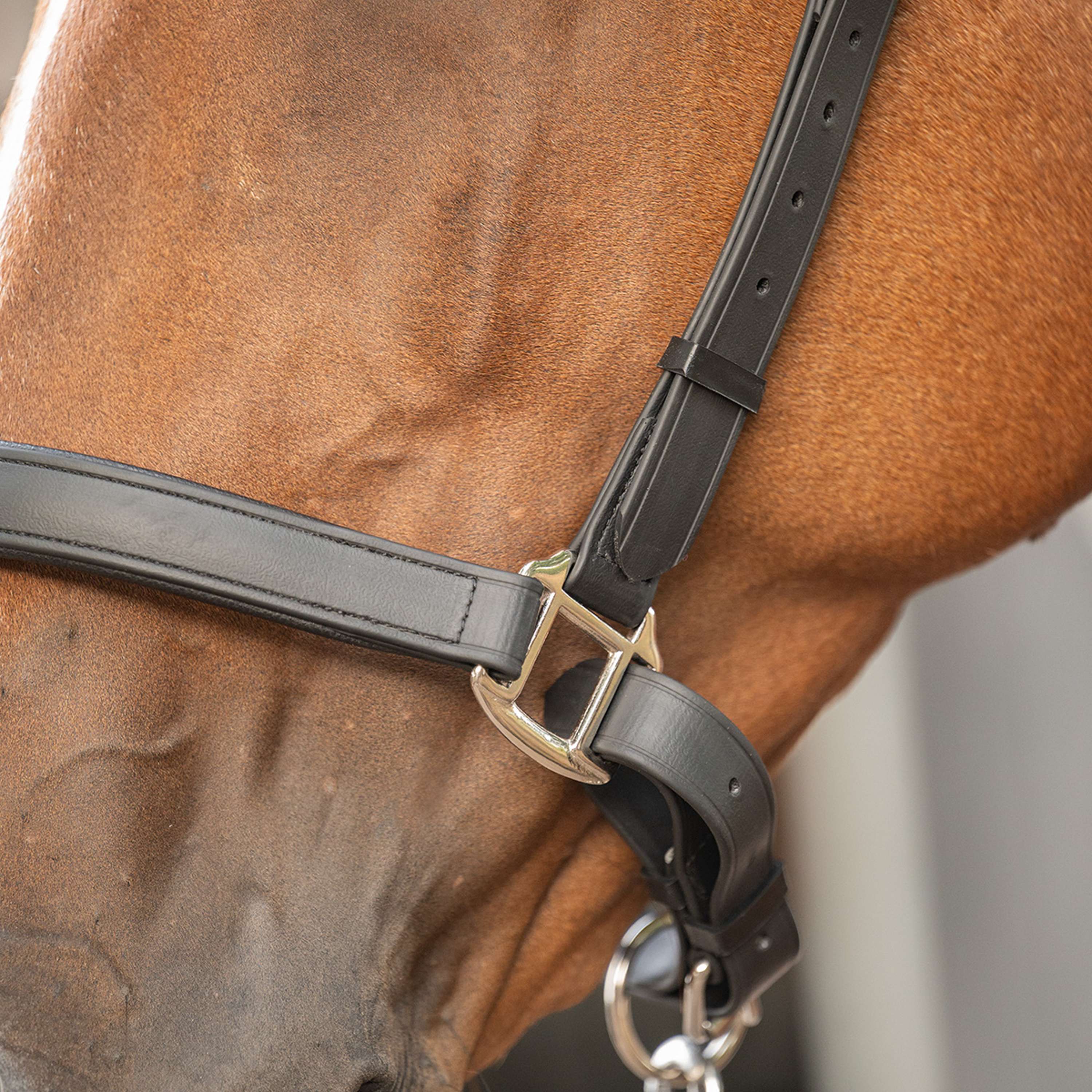 Velder Horsewear Premium Capezzina WashPro Nero