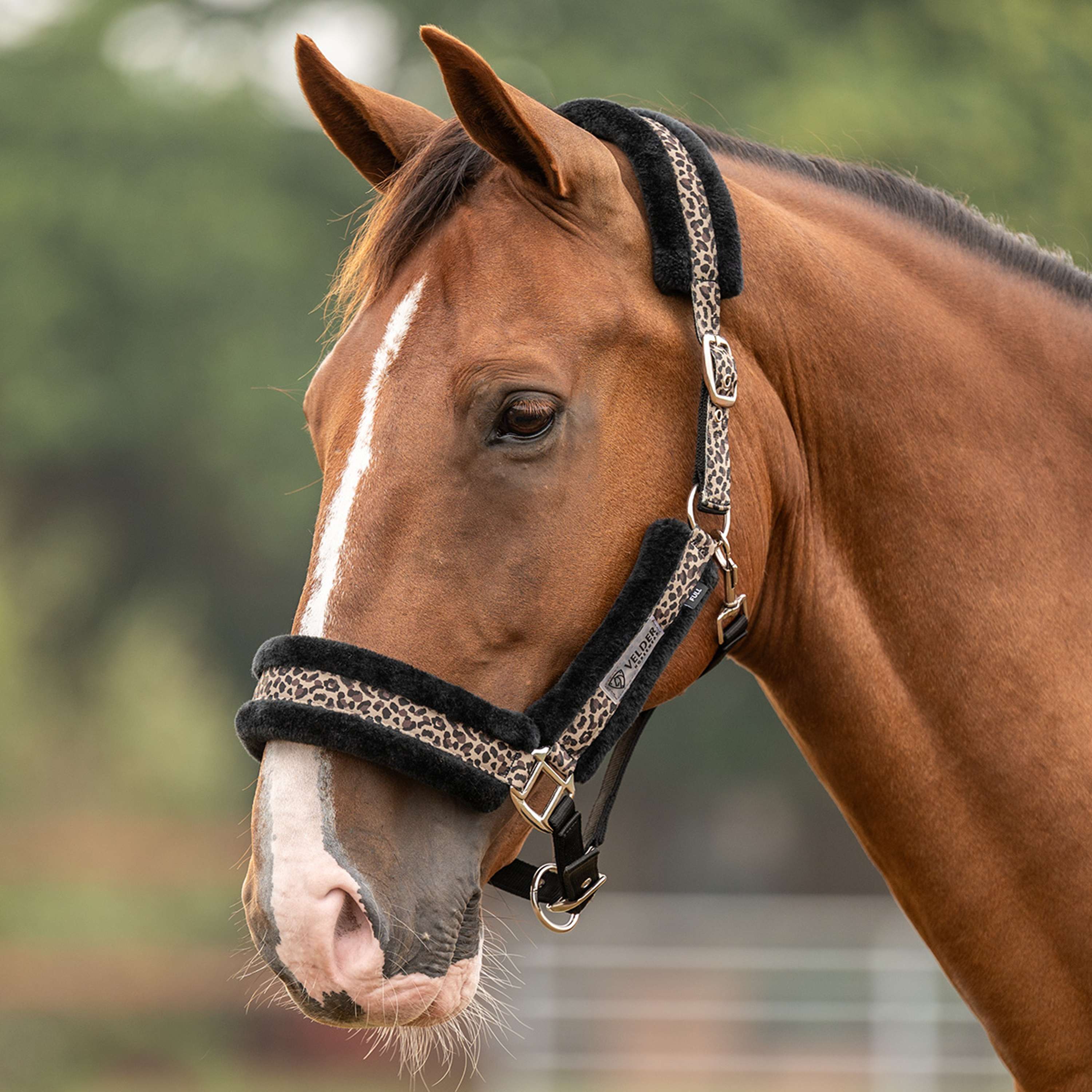 Velder Horsewear Essentials Capezzina Savanna Soft Earth Leopard
