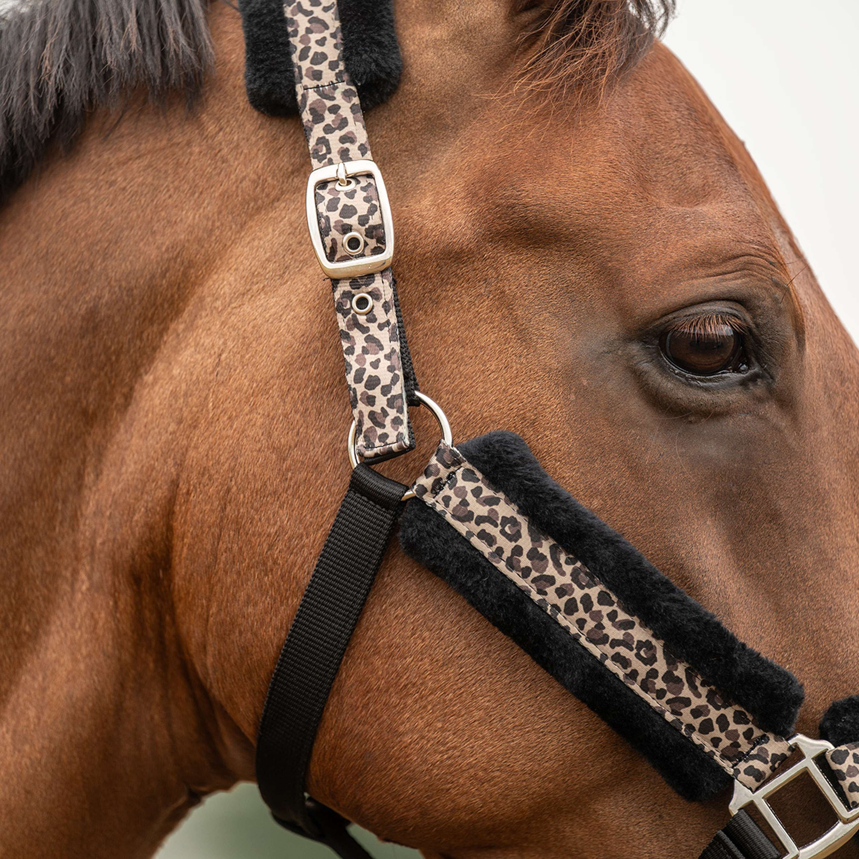 Velder Horsewear Essentials Capezzina Savanna Soft Earth Leopard