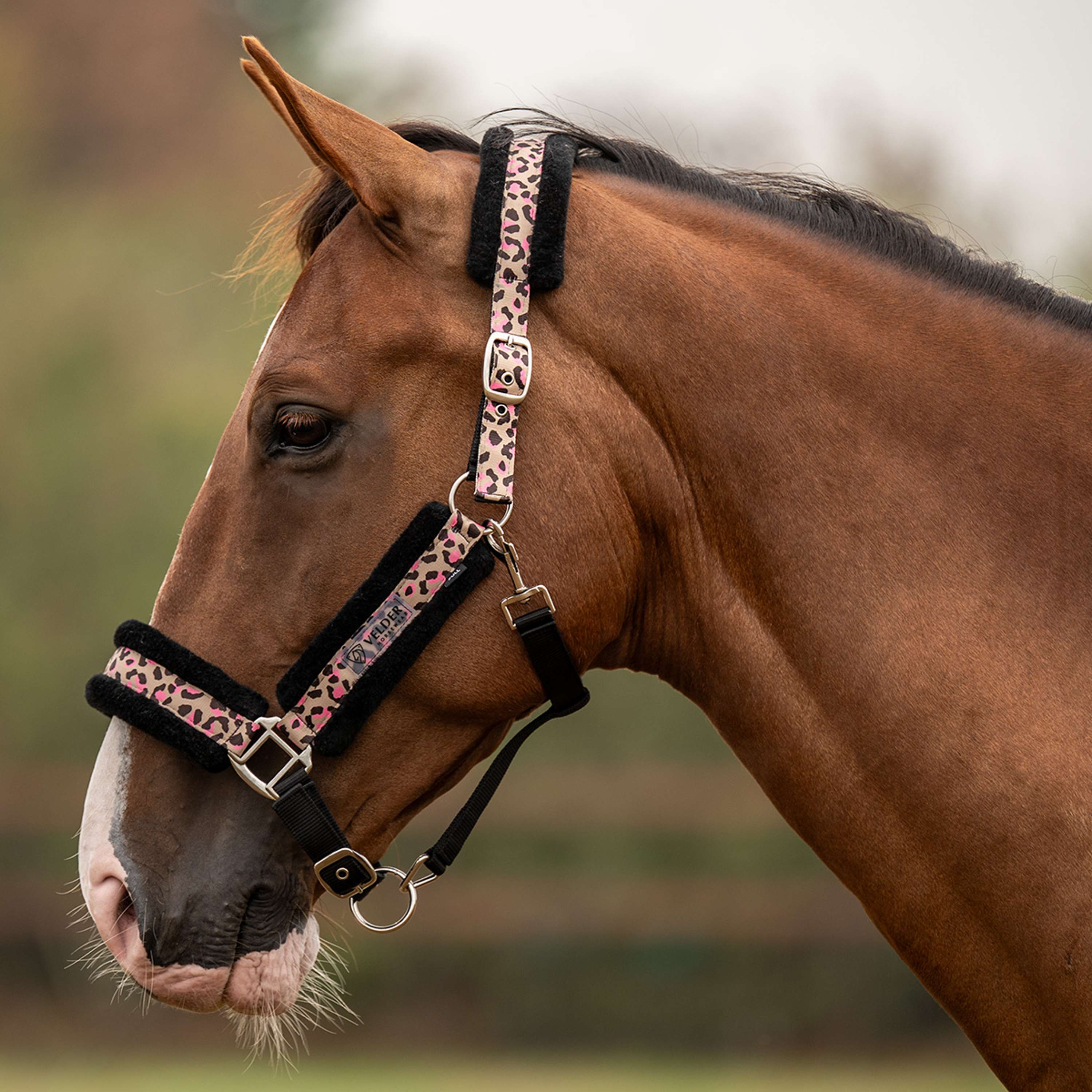 Velder Horsewear Essentials Capezzina Savanna Soft Sandstone Leopard