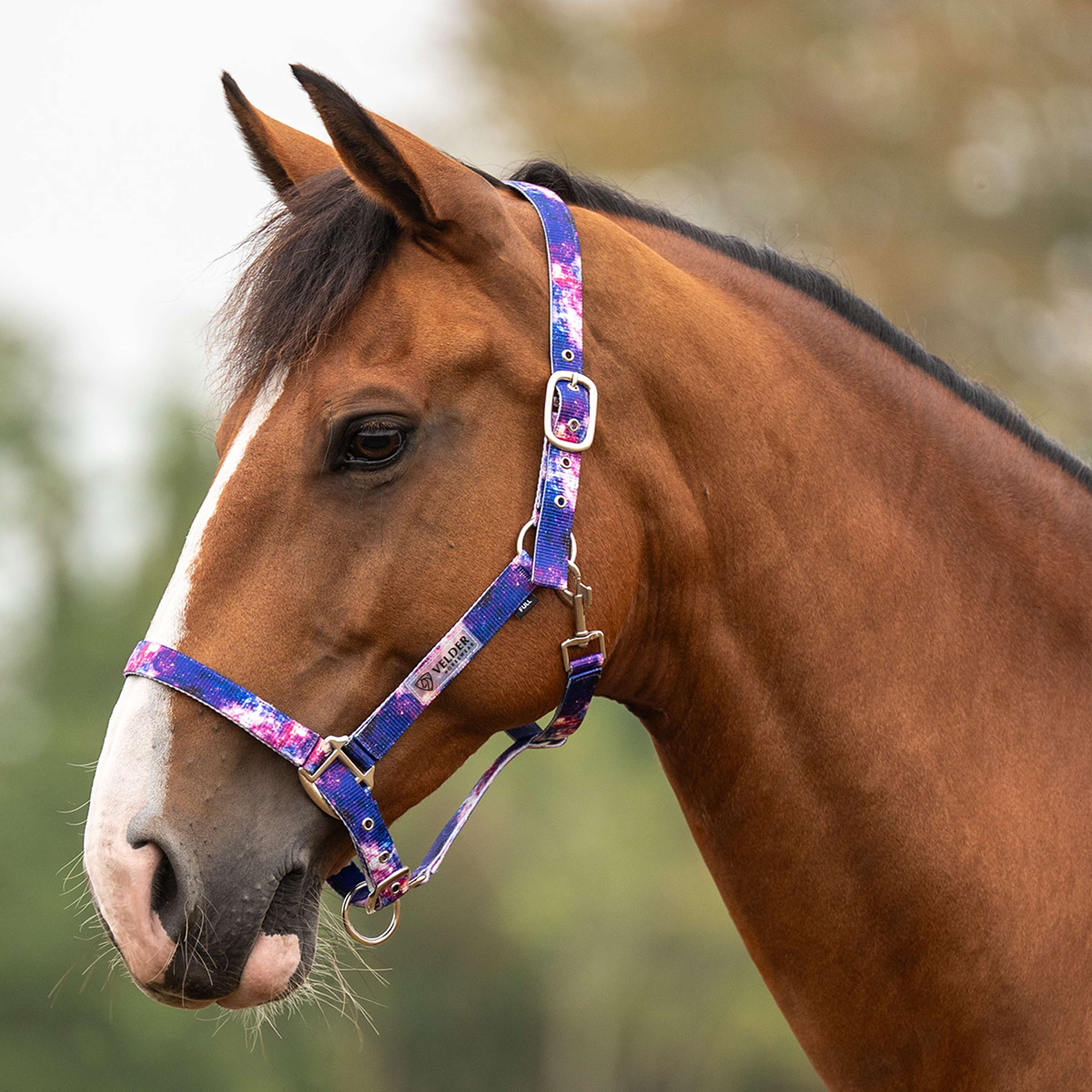 Velder Horsewear Essentials Cavezza Galaxy Blu/Rosa