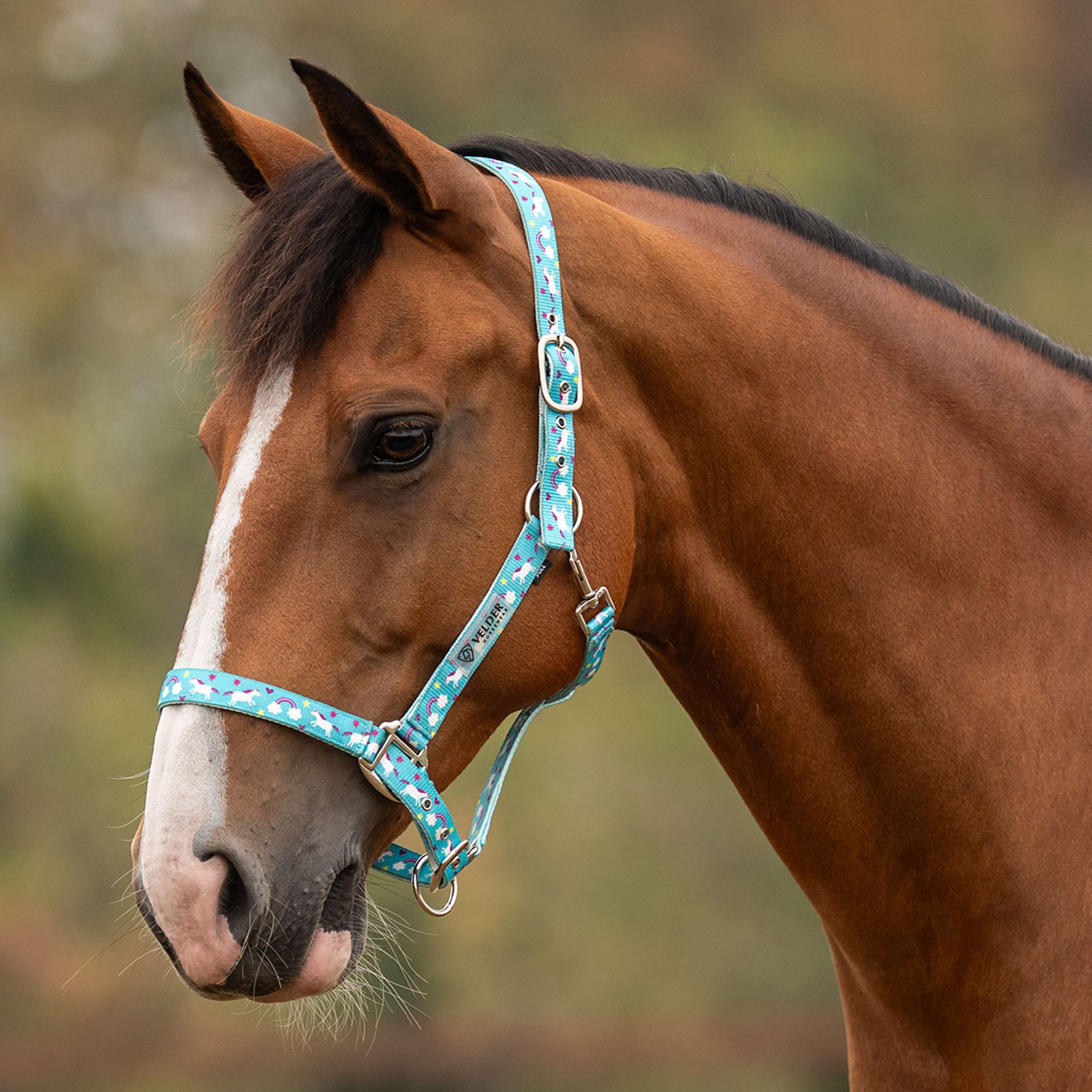 Velder Horsewear Essentials Cavezza Unicorn Blu