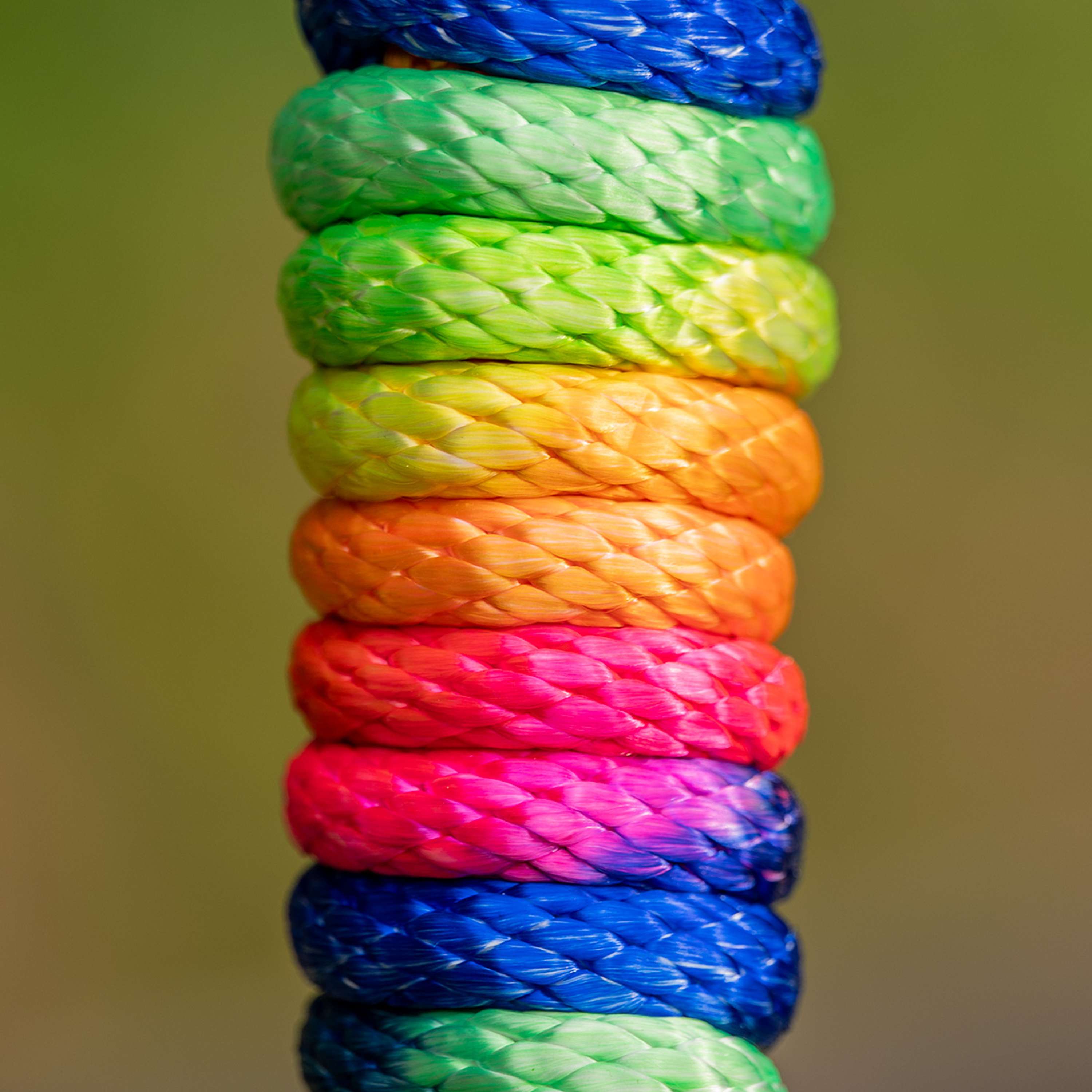Velder Horsewear Corda per cavezza Colorful Stripe Rainbow Pastel