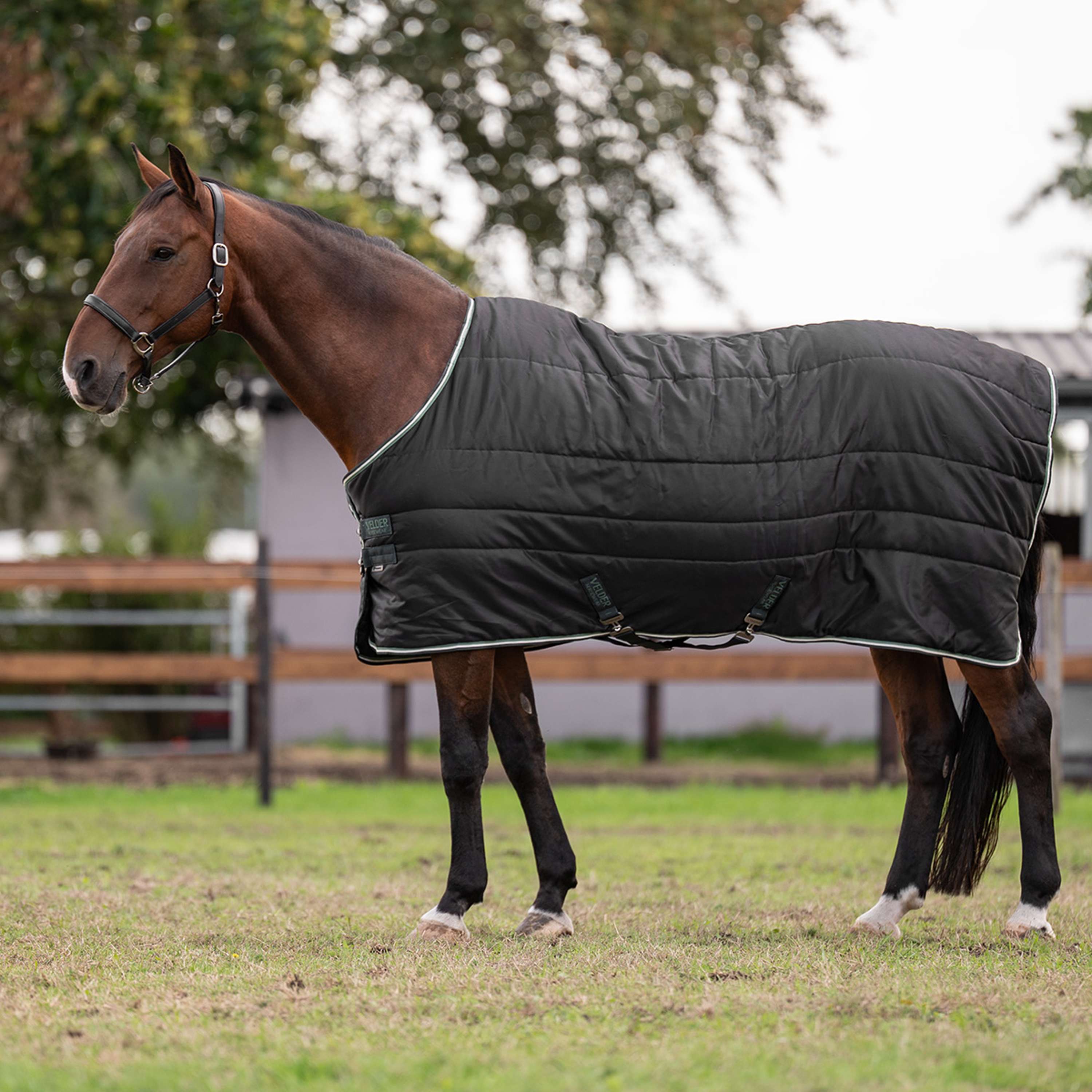 Velder Horsewear Premium Coperta da scuderia 210D Diamond Ripstop 100g Night Forest
