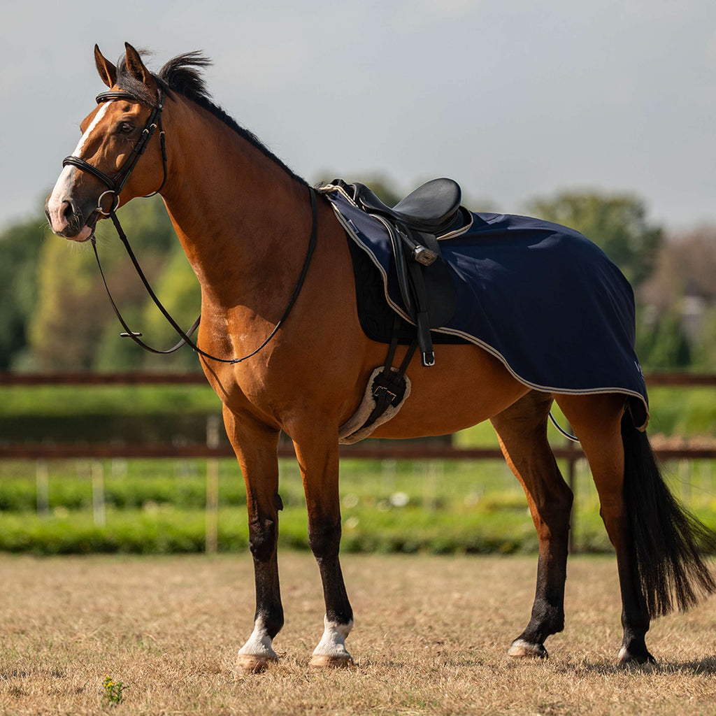 Velder Horsewear Essentials Coperta da esercizio Navy/Dune