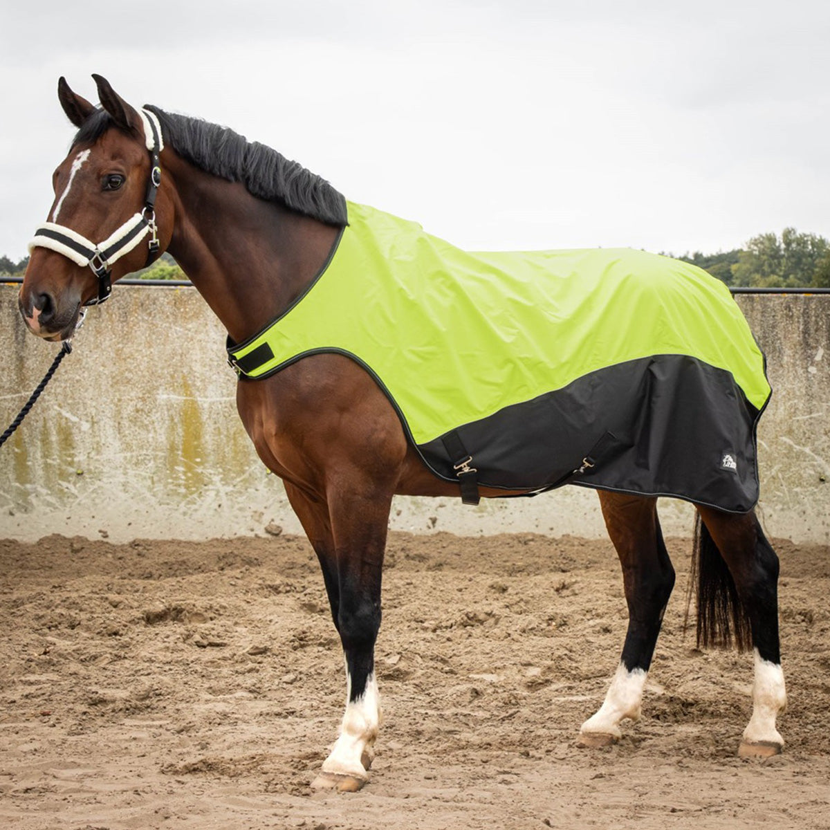 Harry's Horse Coperta Tapis Roulant Reflective Waterproof Giallo neon