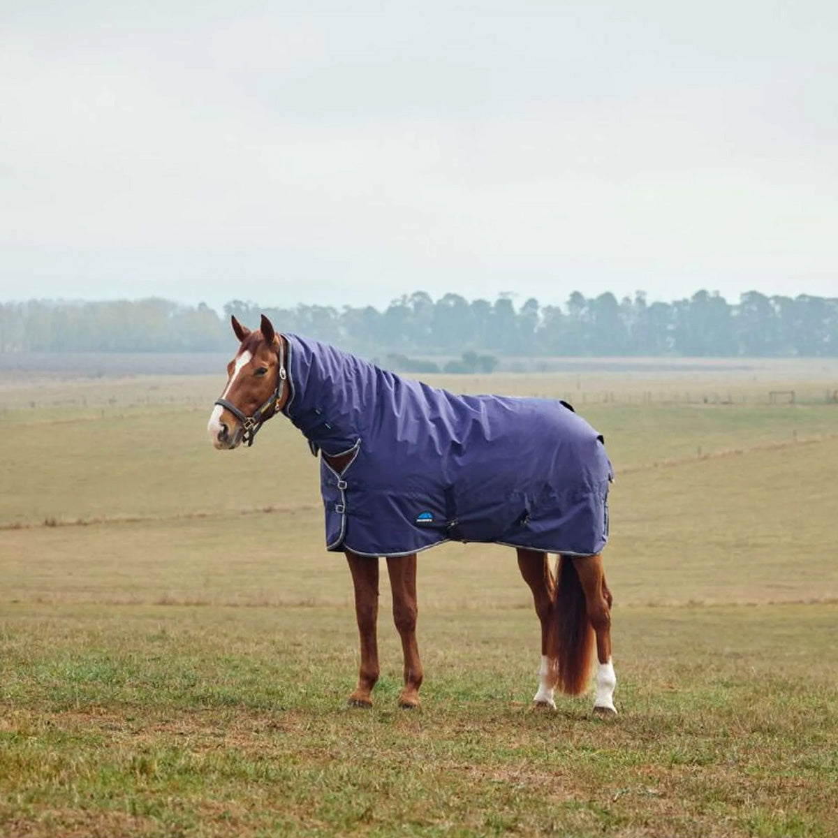 WeatherBeeta ComFiTec Tyro Turnout Combo Neck 50 g Blu marino/Carbone