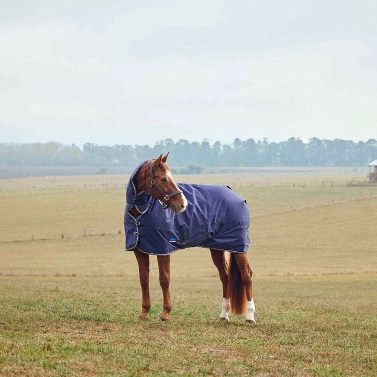 WeatherBeeta ComFiTec Tyro Turnout Combo Neck 50 g Blu marino/Carbone