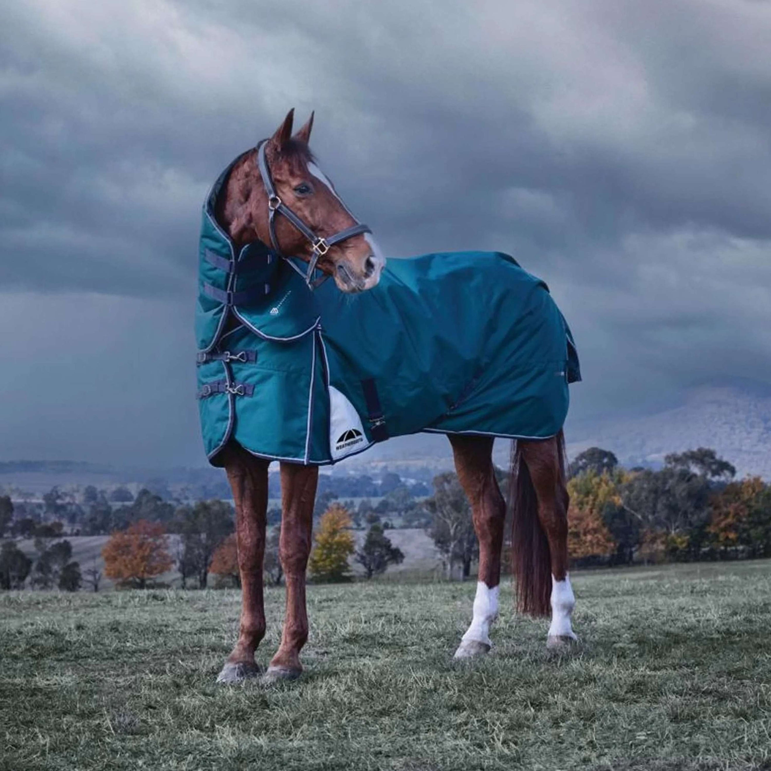 WeatherBeeta ComFiTec Plus Dynamic Turnout Detach-A-Neck 220 g Forest Green/Navy WeatherBeeta ComFiTec Plus Dynamic Turnout Detach-A-Neck 220 g Forest Green/Navy