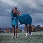 WeatherBeeta ComFiTec Plus Dynamic Turnout Detach-A-Neck 220 g Forest Green/Navy