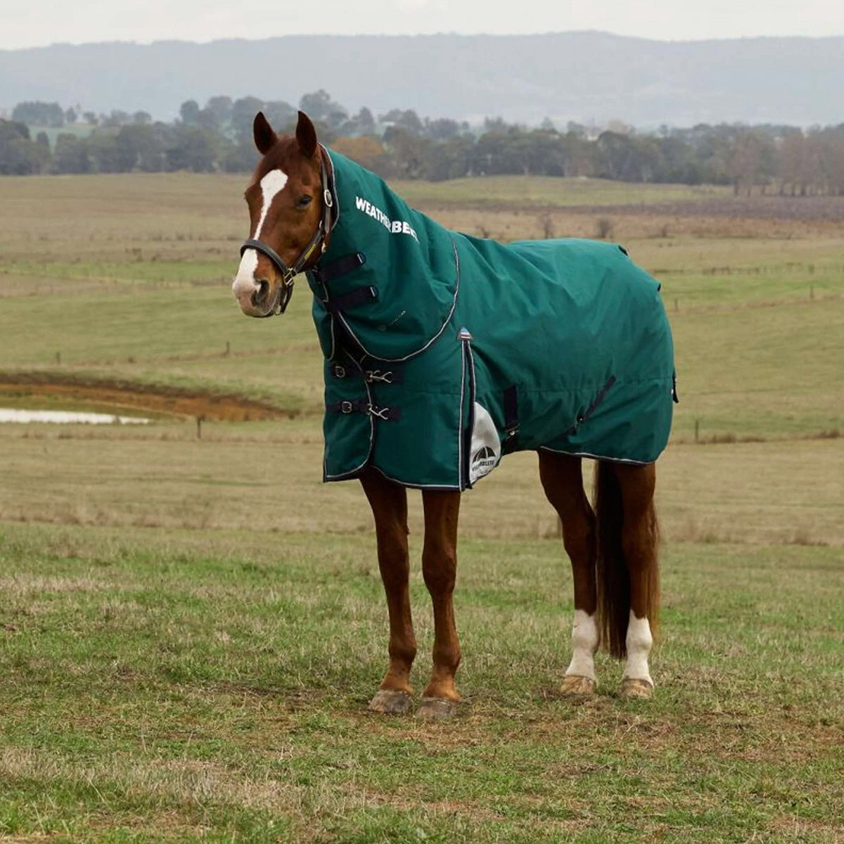 WeatherBeeta ComFiTec Plus Dynamic Turnout Detach-A-Neck 0g Forest Green/Navy