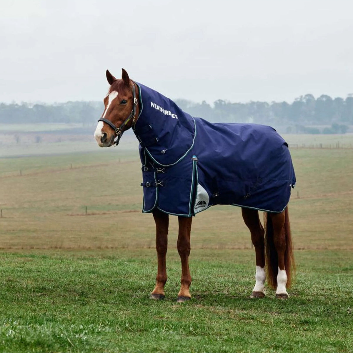 WeatherBeeta ComFiTec Plus Dynamic Turnout Detach-A-Neck 220 g Navy/Forest Green