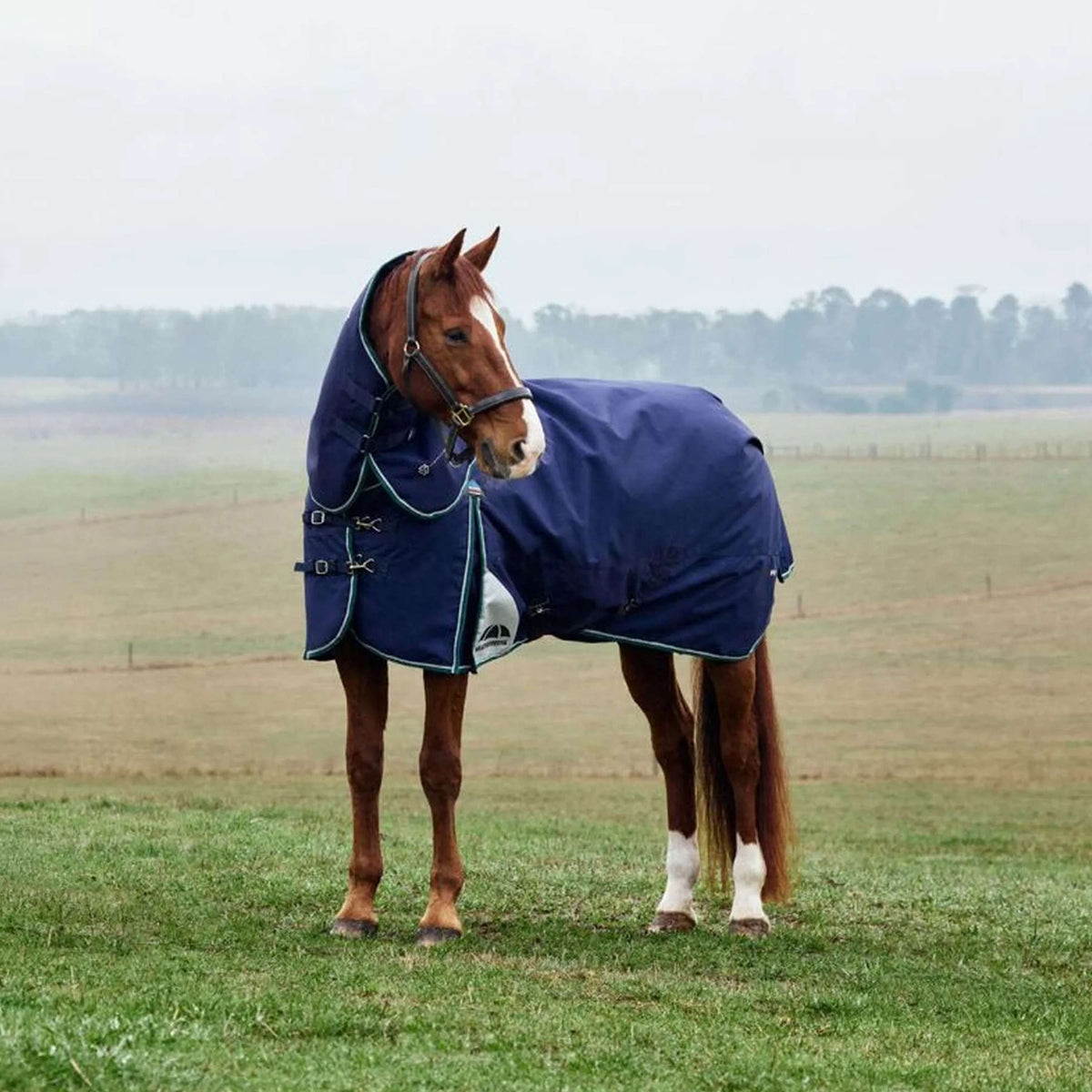 WeatherBeeta ComFiTec Plus Dynamic Turnout Detach-A-Neck 220 g Navy/Forest Green