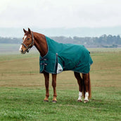 WeatherBeeta ComFiTec Plus Dynamic Turnout High Neck 220 g Forest Green/Navy