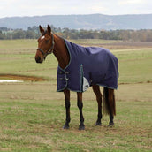 WeatherBeeta ComFiTec Plus Dynamic Turnout High Neck 220 g Navy/Forest Green