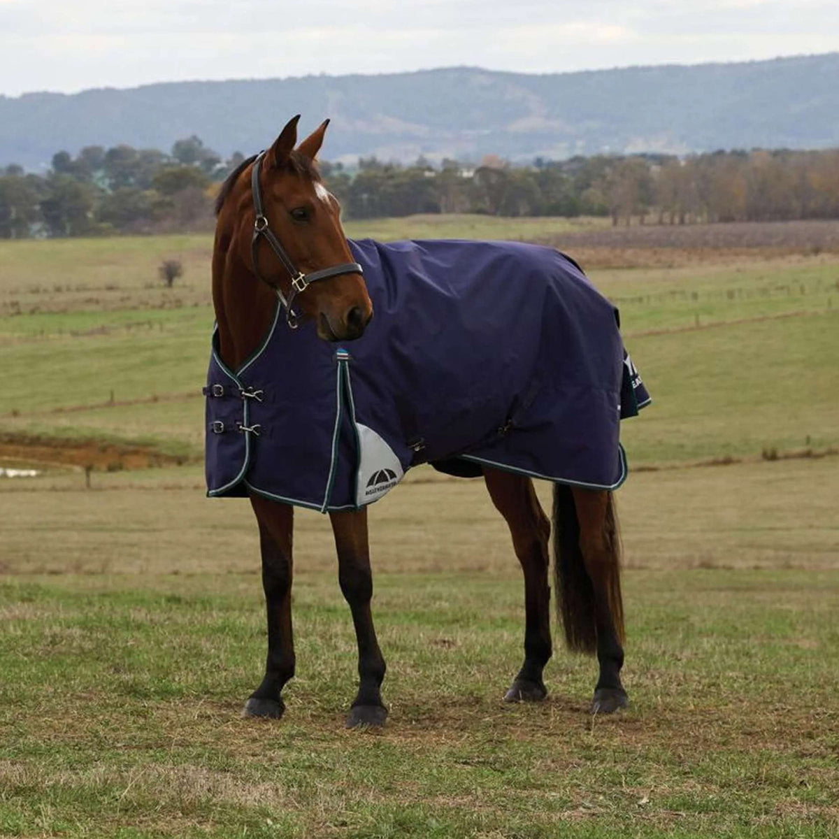 WeatherBeeta ComFiTec Plus Dynamic Turnout High Neck 220 g Navy/Forest Green