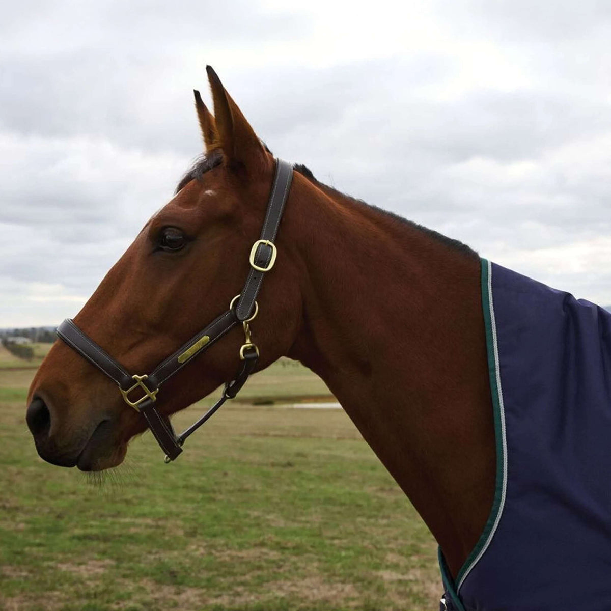 WeatherBeeta ComFiTec Plus Dynamic Turnout High Neck 220 g Navy/Forest Green