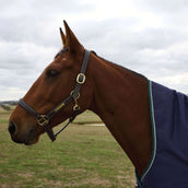 WeatherBeeta ComFiTec Plus Dynamic Turnout High Neck 220 g Navy/Forest Green