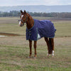 WeatherBeeta ComFiTec Plus Dynamic Turnout 100g Navy/Forest Green