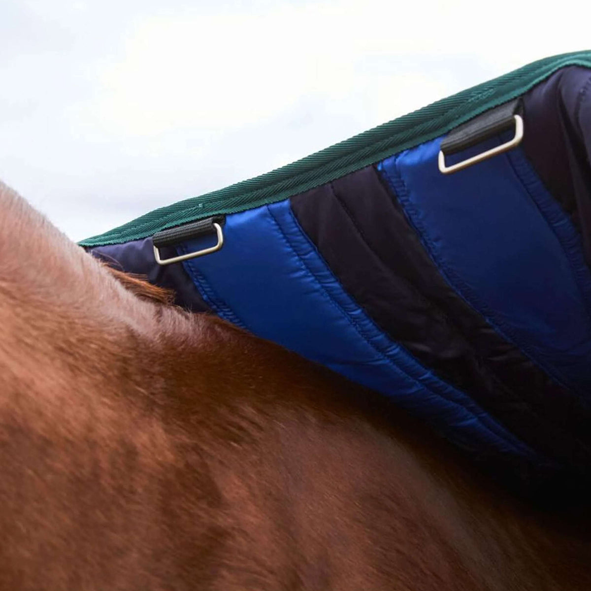 WeatherBeeta ComFiTec Plus Dynamic Turnout 100g Navy/Forest Green