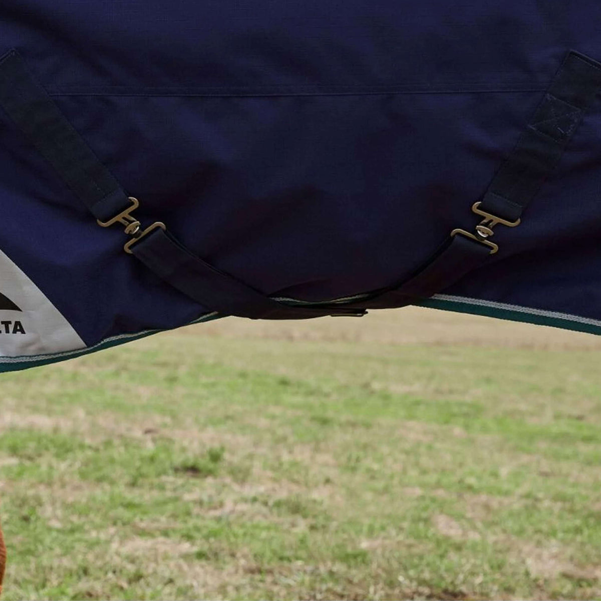 WeatherBeeta ComFiTec Plus Dynamic Turnout 100g Navy/Forest Green