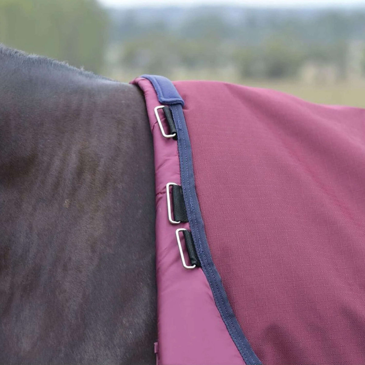 WeatherBeeta ComFiTec Essential Turnout Detach-A-Neck 50 g Borgogna/Marina