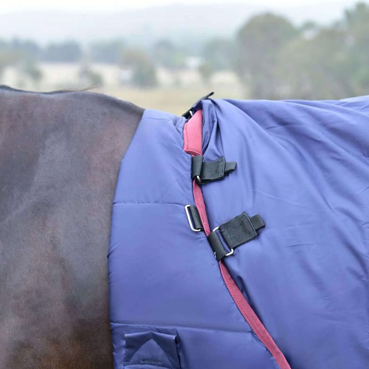 WeatherBeeta ComFiTec Essential Turnout Detach-A-Neck 50 g Navy/Burgundy