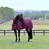 WeatherBeeta ComFiTec Essential Turnout Combo 50 g Borgogna/Marina