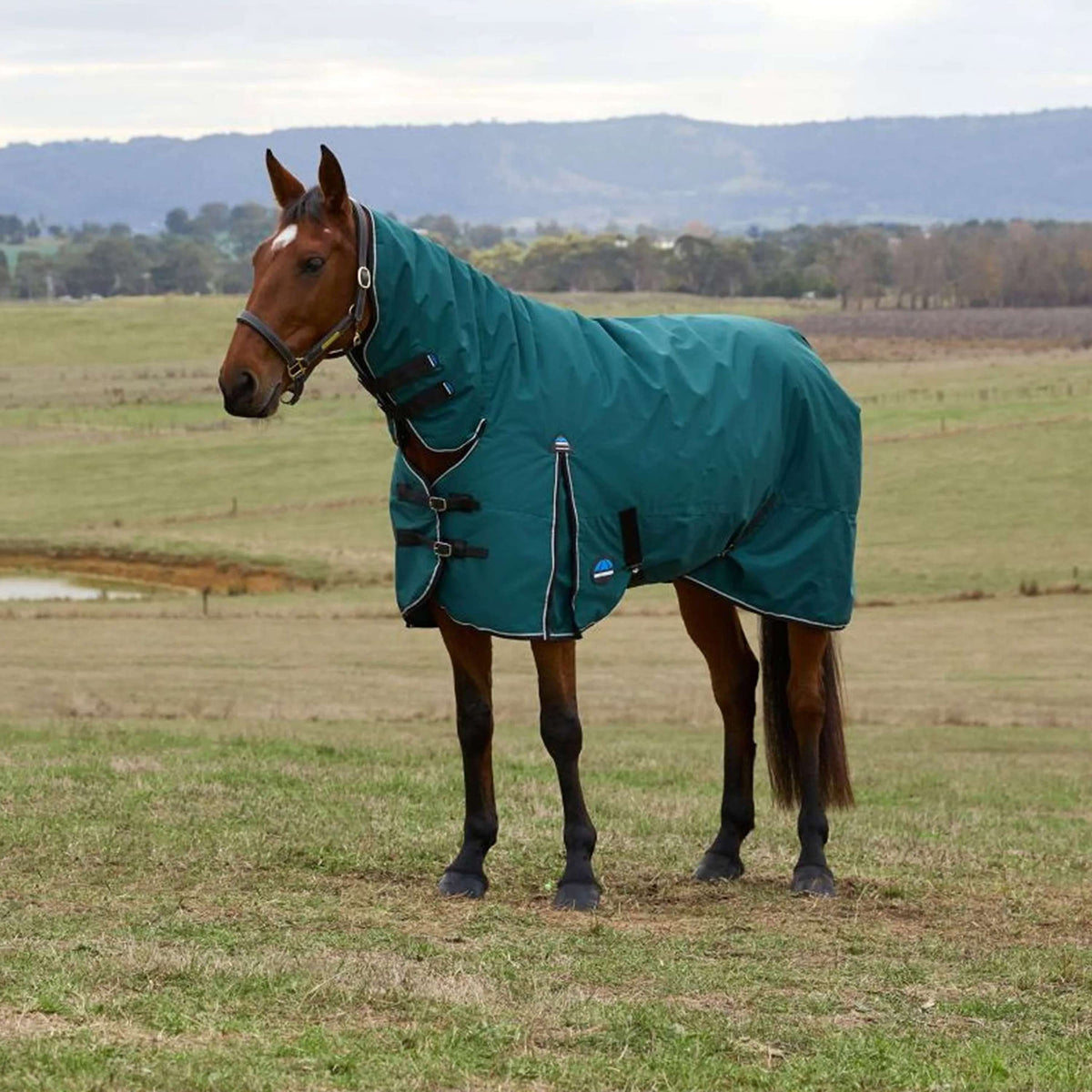 WeatherBeeta ComFiTec Classic Turnout Combo 50 g Forest Green/Black