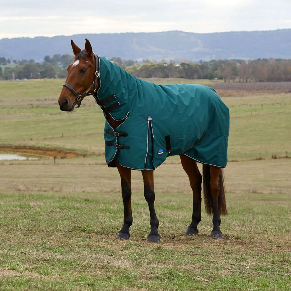 WeatherBeeta ComFiTec Classic Turnout Combo 50 g Forest Green/Black