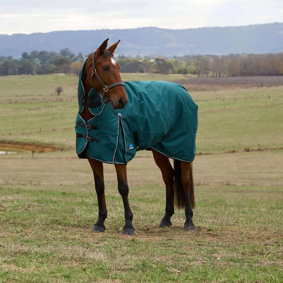 WeatherBeeta ComFiTec Classic Turnout Combo 50 g Forest Green/Black