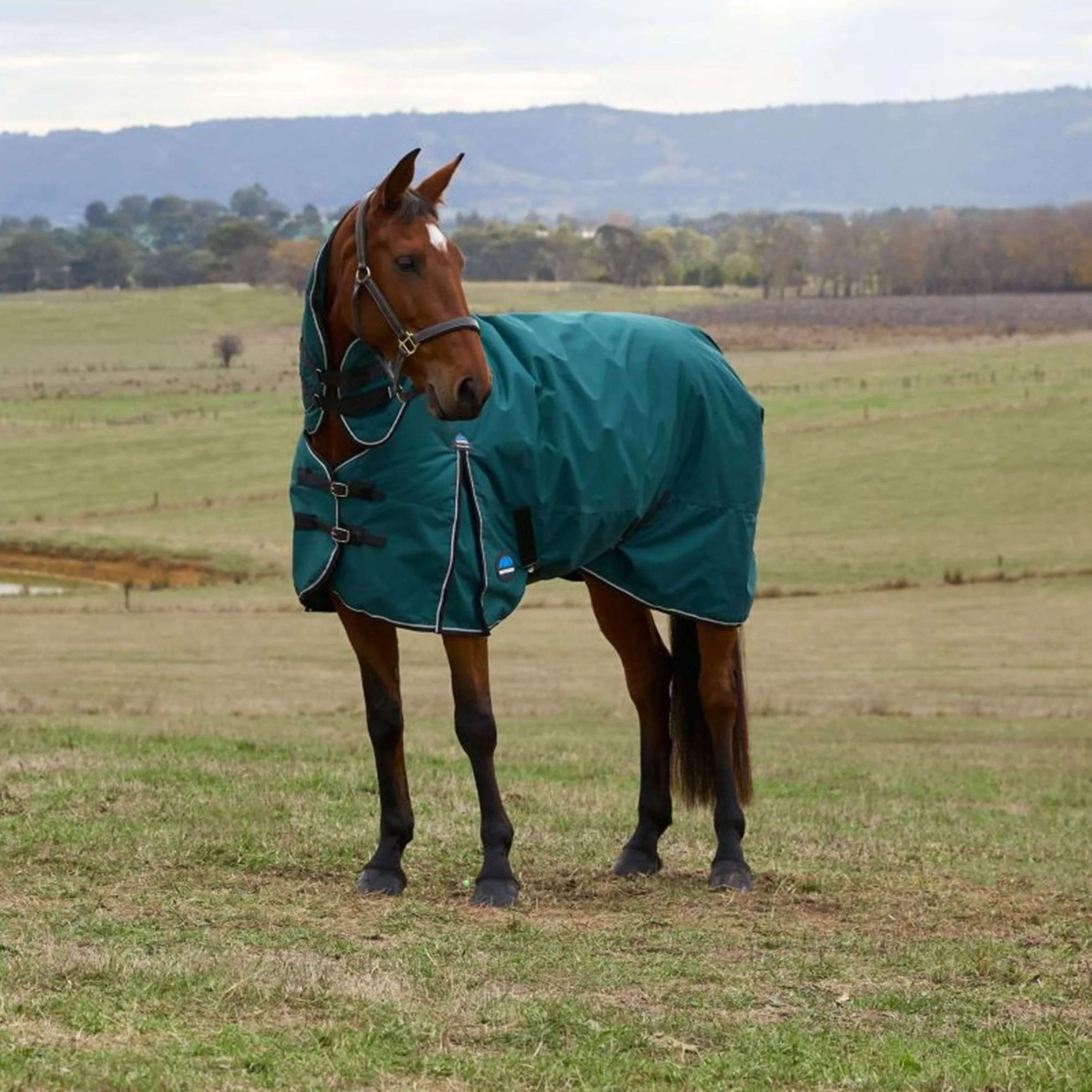 WeatherBeeta ComFiTec Classic Turnout Combo 50 g Forest Green/Black