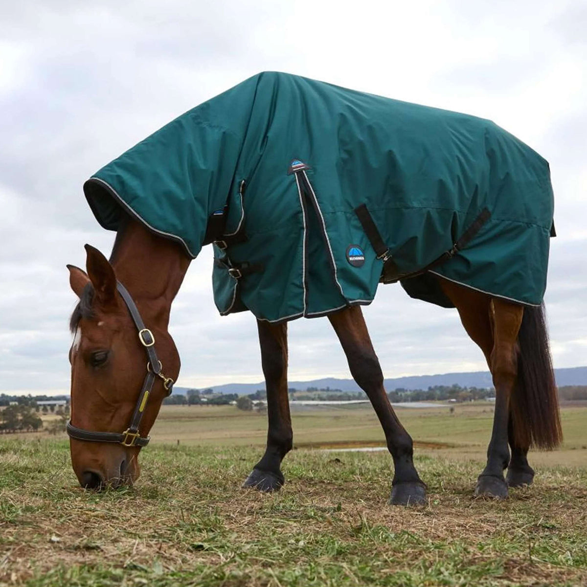 WeatherBeeta ComFiTec Classic Turnout Combo 50 g Forest Green/Black