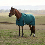 WeatherBeeta ComFiTec Classic Turnout 220 g Forest Green/Black