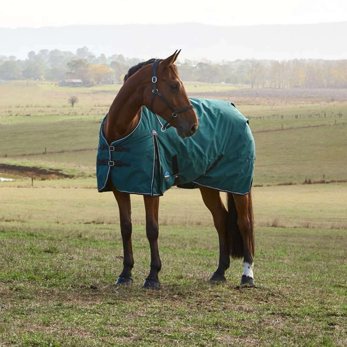 WeatherBeeta ComFiTec Classic Turnout 220 g Forest Green/Black