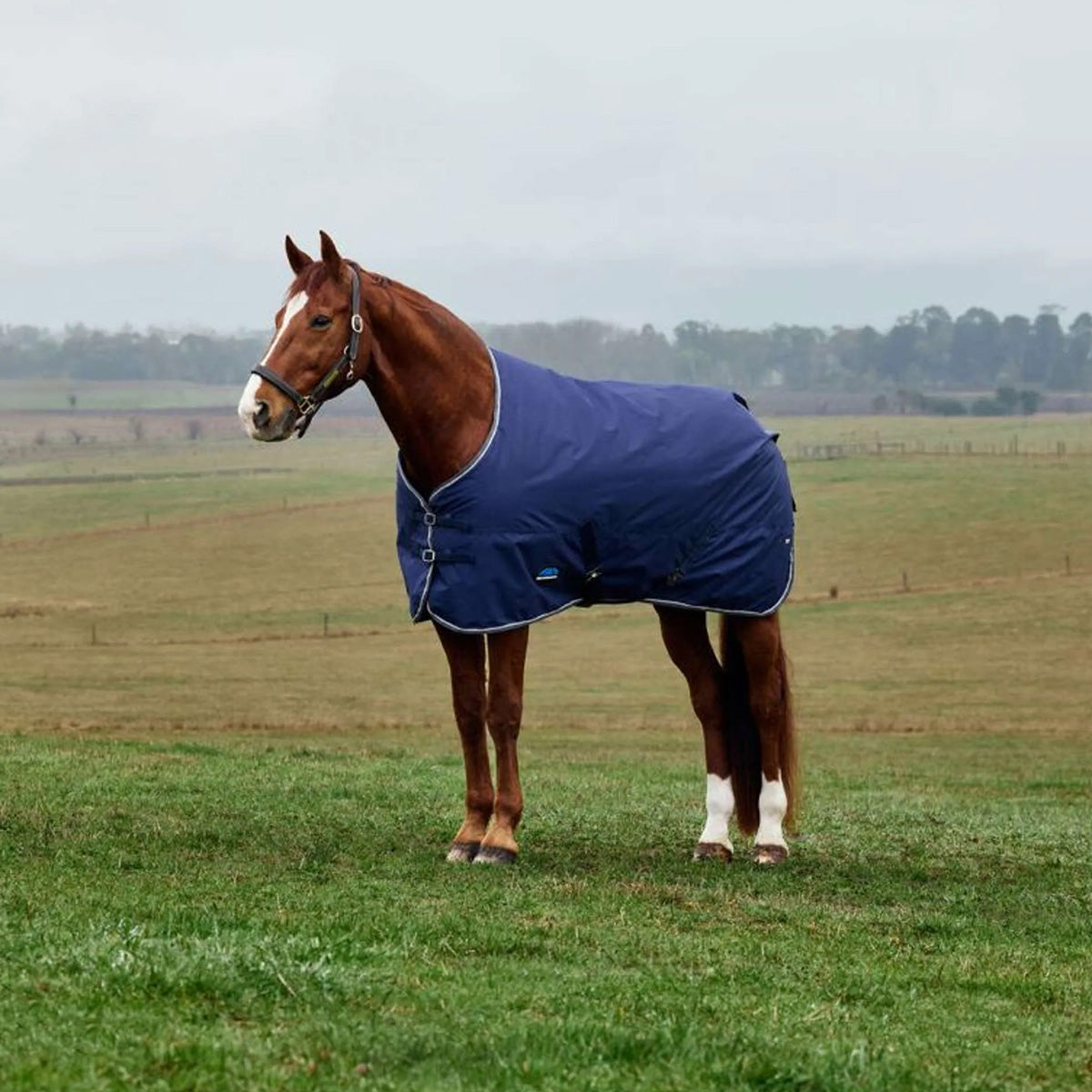 WeatherBeeta ComFiTec Tyro Turnout Standard Neck 220 g Blu marino/Carbone