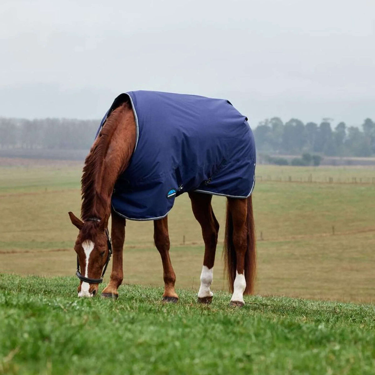 WeatherBeeta ComFiTec Tyro Turnout Standard Neck 220 g Blu marino/Carbone