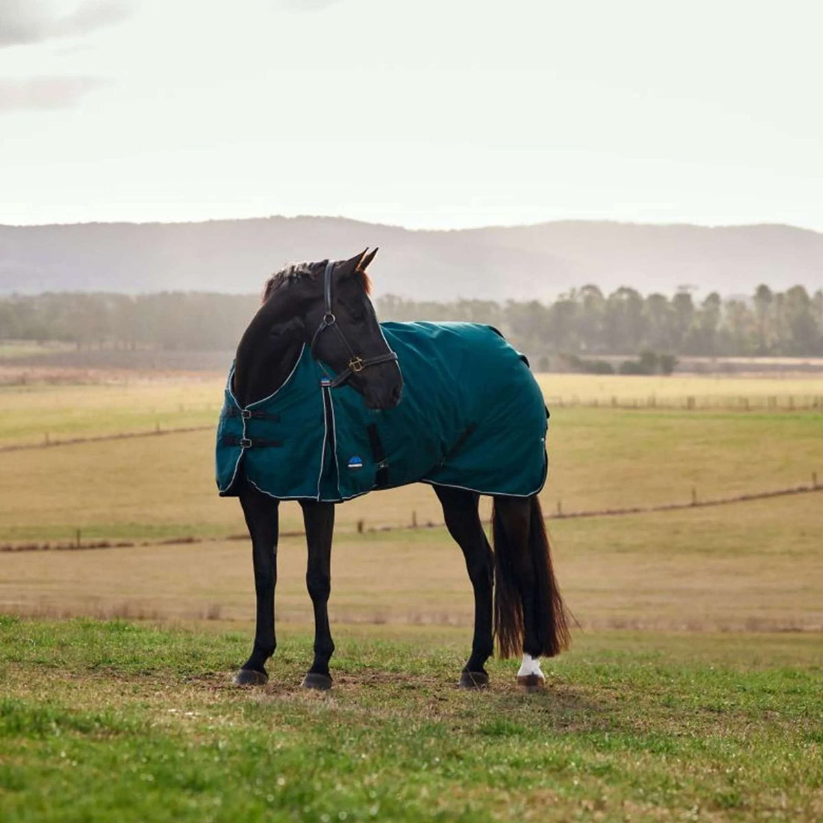 WeatherBeeta ComFiTec Classic Turnout 50 g Forest Green/Black