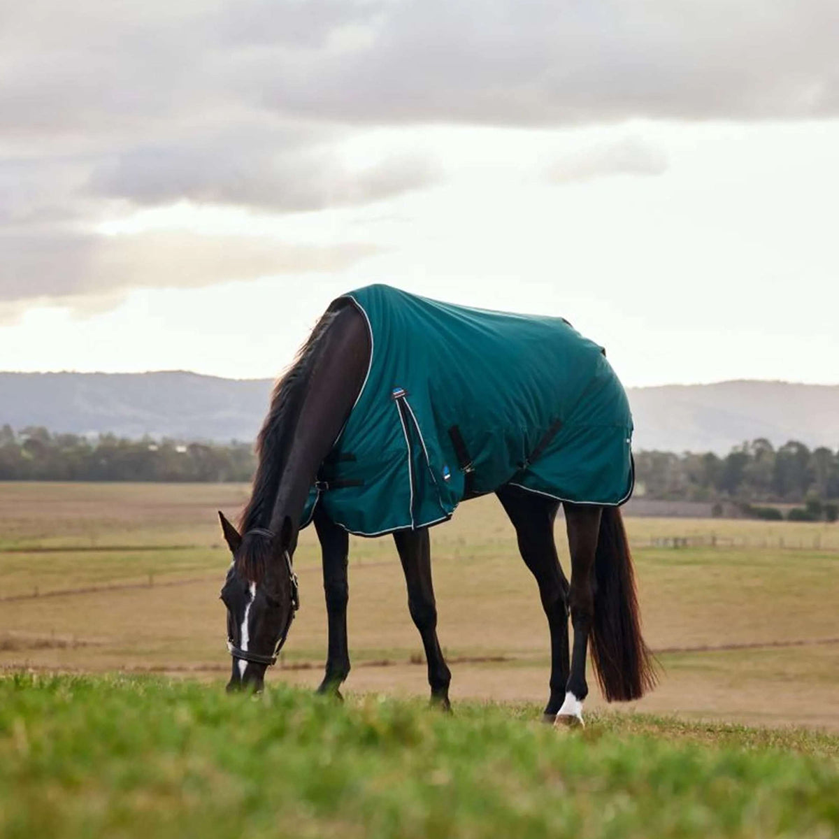 WeatherBeeta ComFiTec Classic Turnout 50 g Forest Green/Black