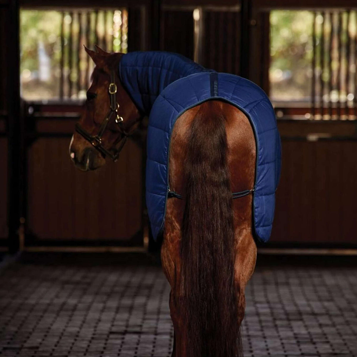 WeatherBeeta Sottocoperta ComFiTec Combo Neck 220 g Navy