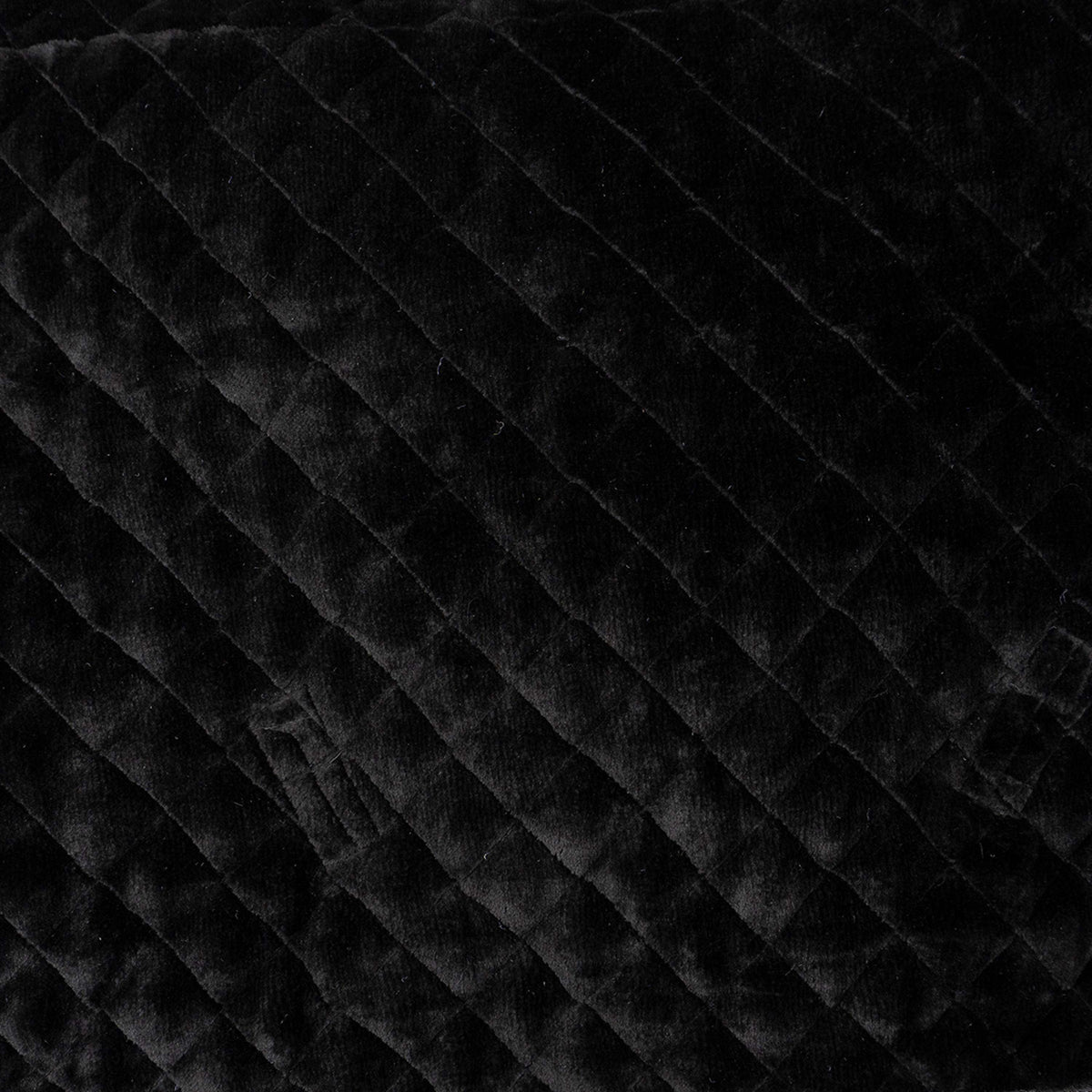 ANKY Coperta da esposizione Victory ATB24006 Nero