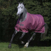 Bucas Freedom Turnout 300g Lampone