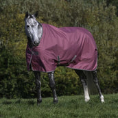 Bucas Freedom Turnout 300g Lampone