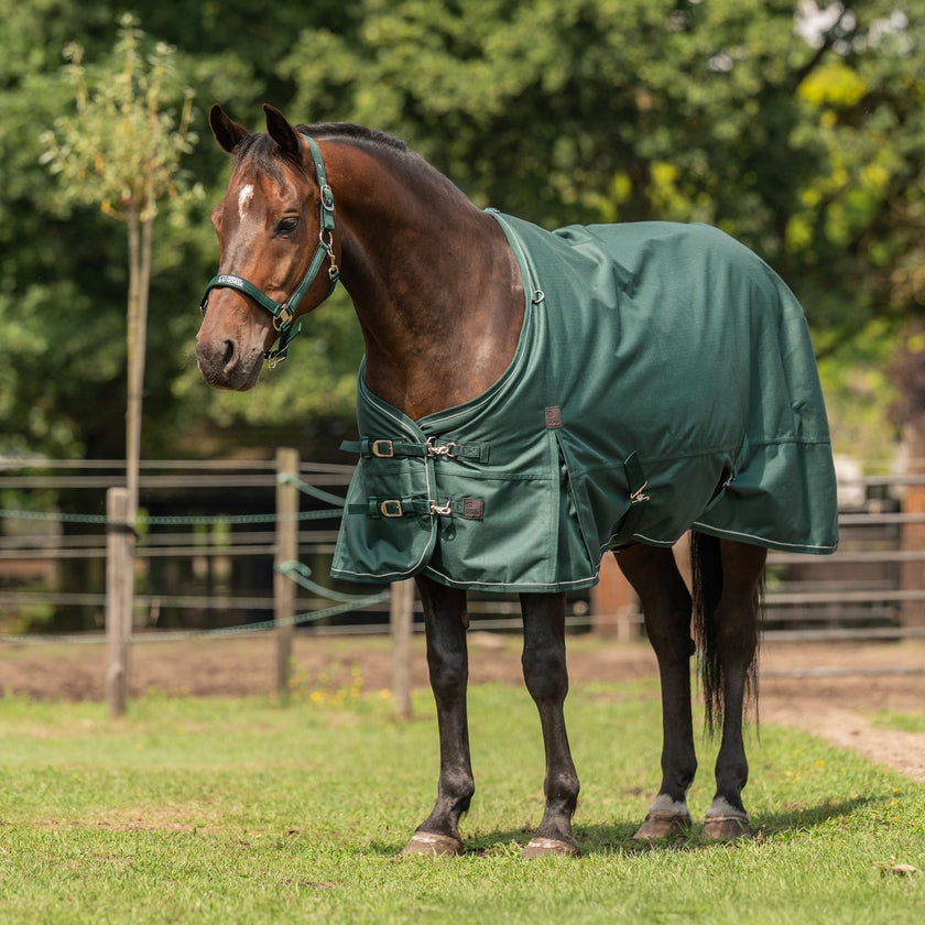 Agradi Horse Tappeto da Esterno 1200D 300gr Bordo Riflettente Verde